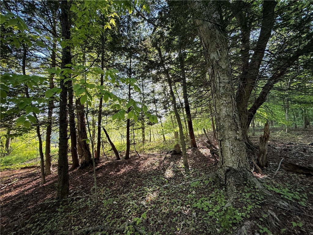 7488 Eades Road Red Creek, NY 13143 - Photo 36 of 50