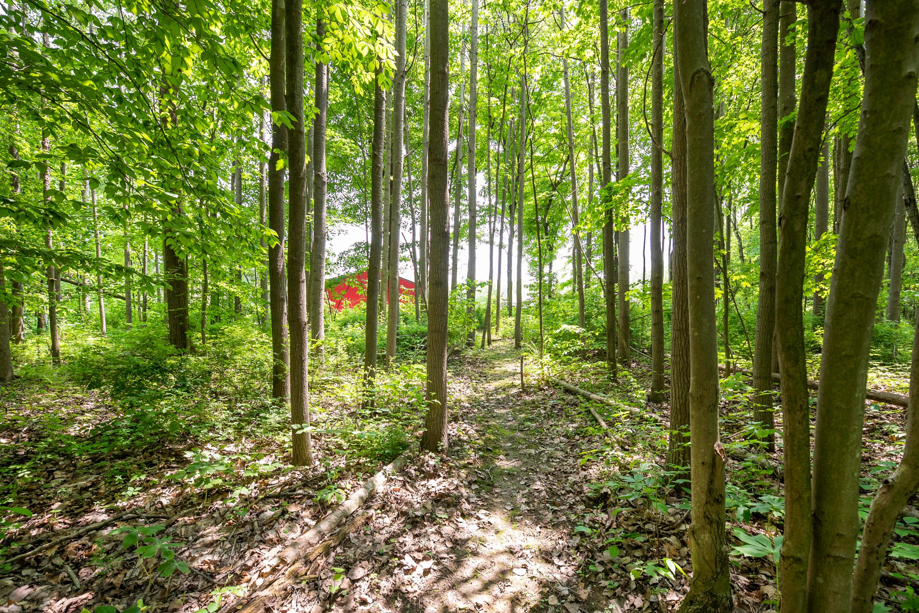 12673 Middlefork Road Amanda, OH 43102 - Photo 71 of 88 Acreage