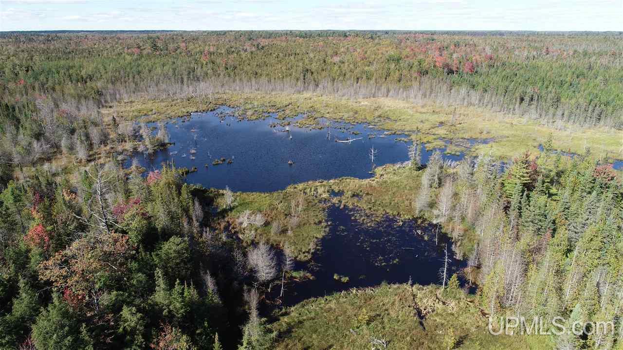 1480 Acres On Co Road Manistique, MI 49854 - Photo 38 of 49