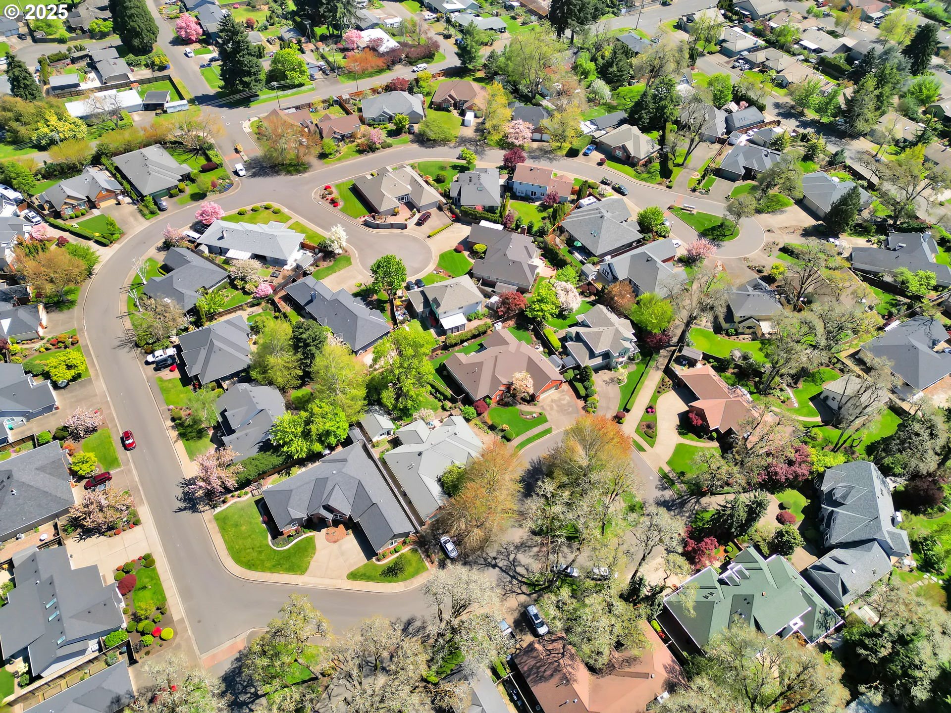 1417 Wimbledon Place Springfield, OR 97477 - Photo 7 of 48