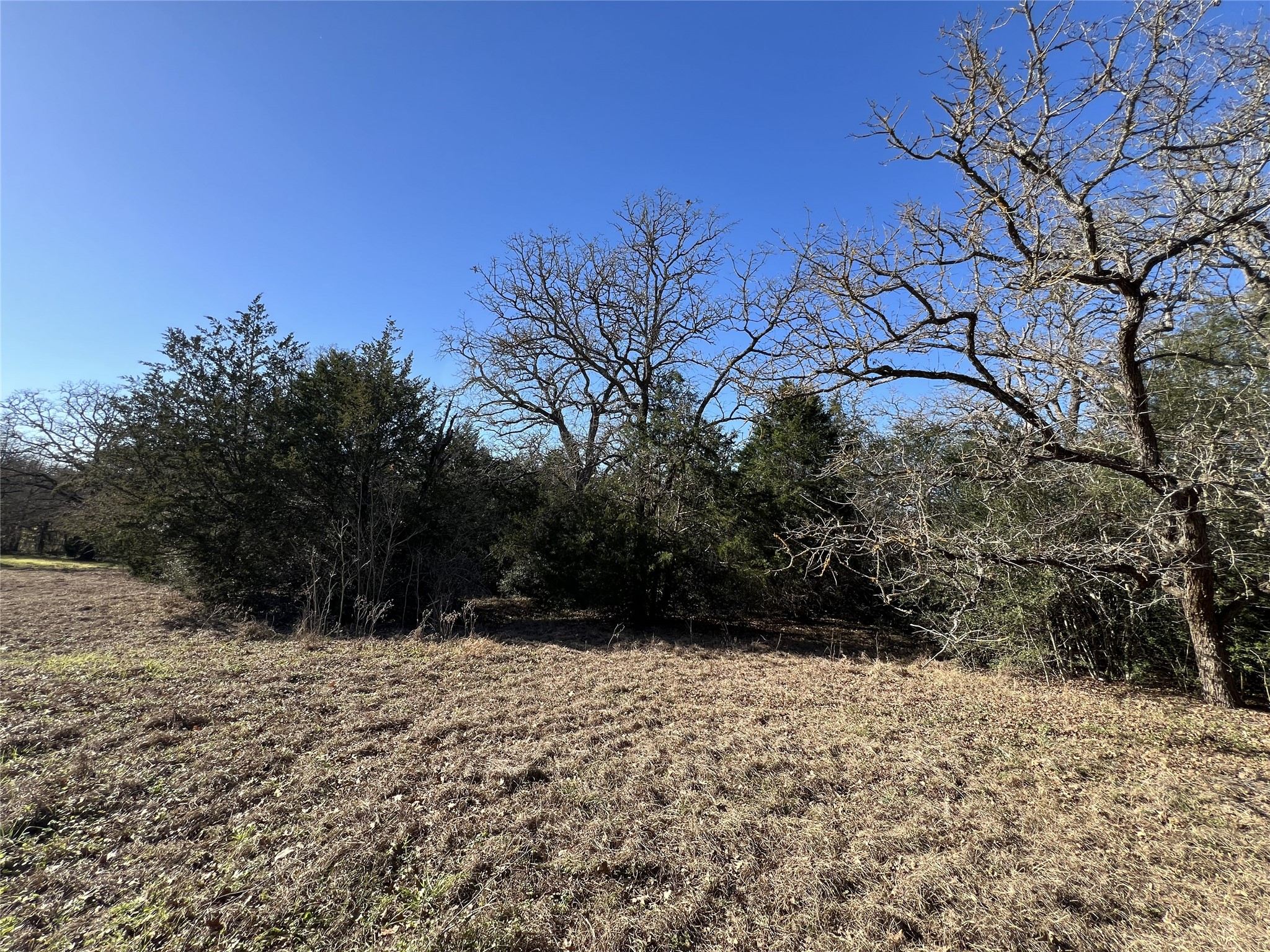 Tbd Rosanky Cattle Company Road Smithville, TX 78957 - Photo 39 of 40 a view of outdoor space and yard
