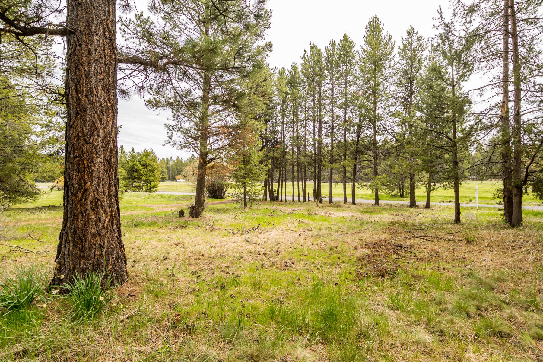16912 Elsinore Road Bend, OR 97707 - Photo 4 of 15 JH5_9485