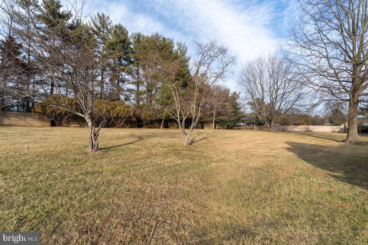 3507 Tarkington Lane, Unit 66A Silver Spring, MD 20906 - Photo 26 of 39 a view of empty space with trees