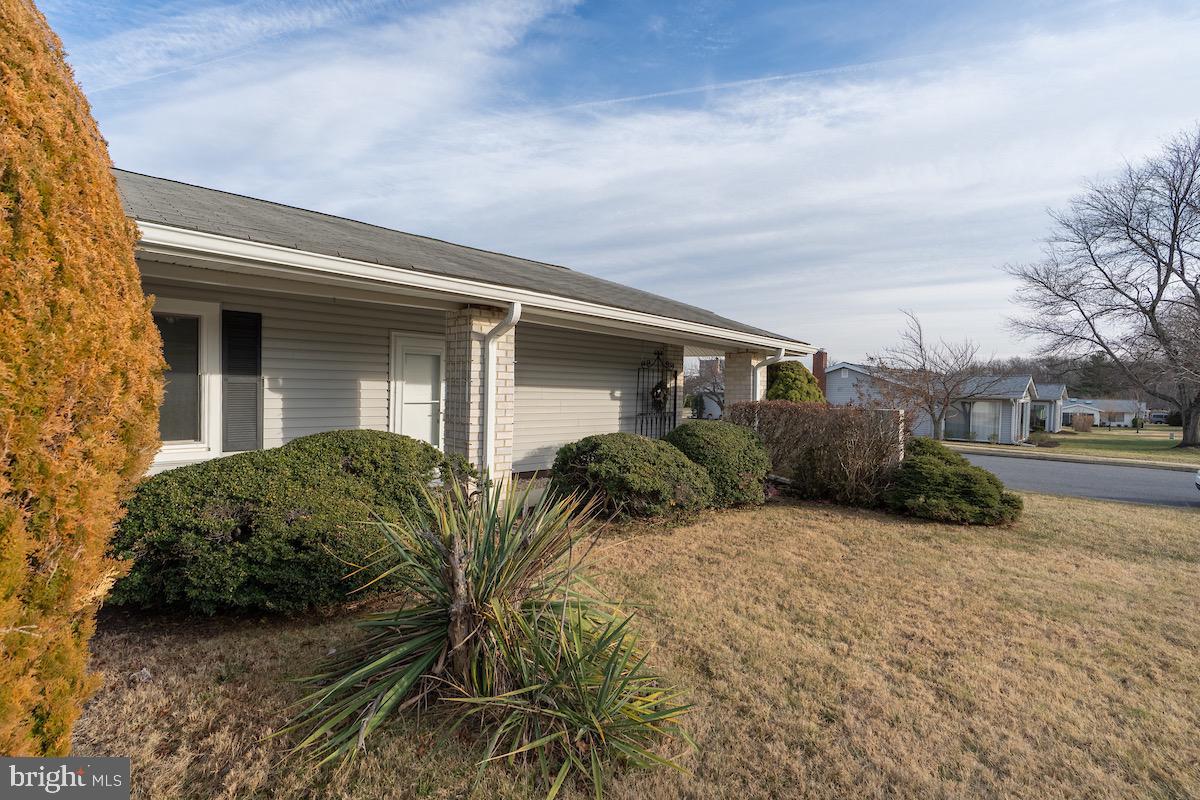 3507 Tarkington Lane, Unit 66A Silver Spring, MD 20906 - Photo 4 of 39 a view of backyard of the house