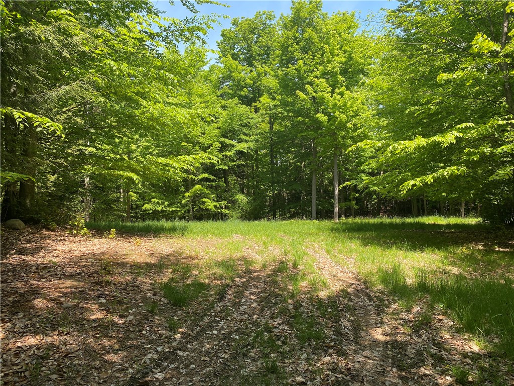 Franklin Road Girard, PA 16417 - Photo 2 of 5