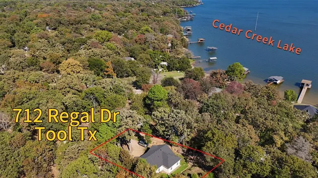 a view of a bunch of trees