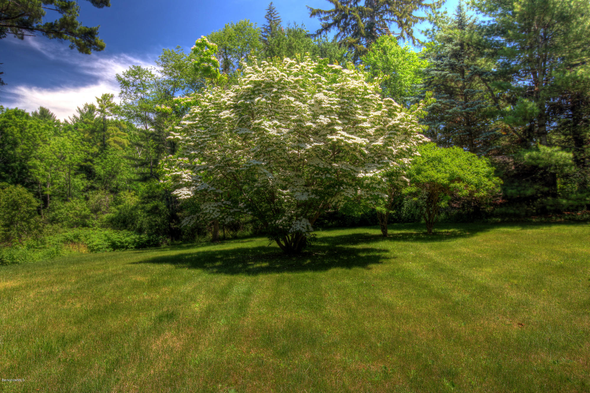 1194 Bow Wow Road Sheffield, MA 01257 - Photo 11 of 35 11-1194BowWowRd