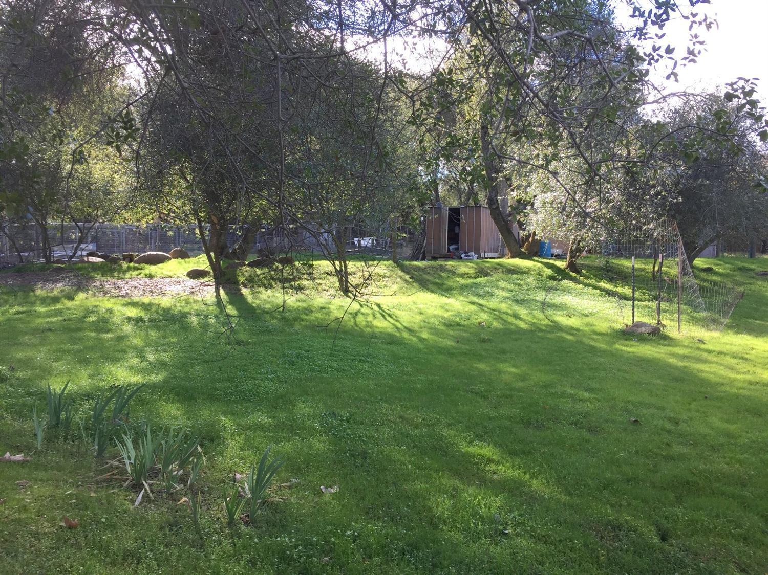 40831 Balch Park Road Springville, CA 93265 - Photo 29 of 37 Additional Photo