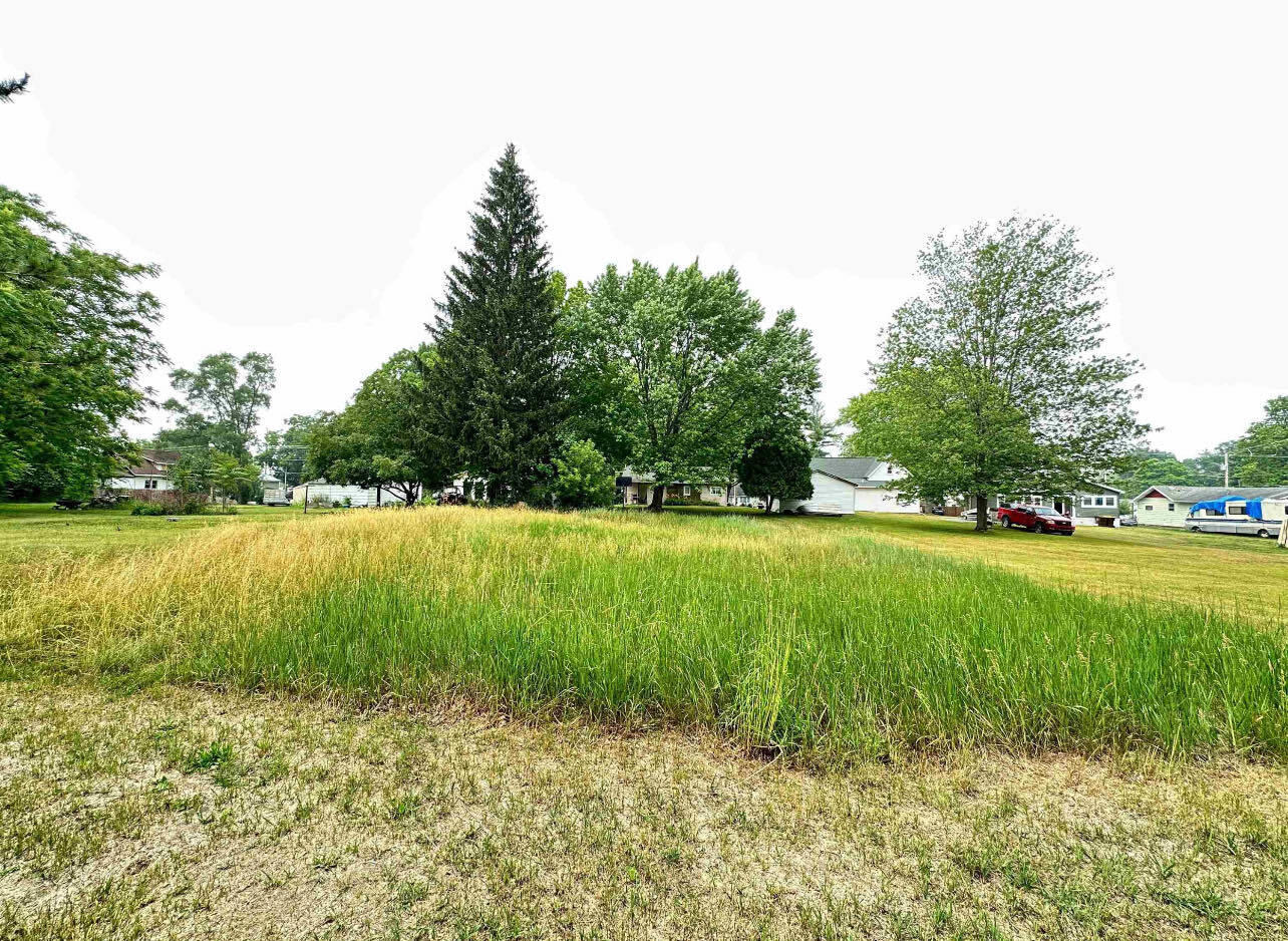 0 Bostwick Street Alma, MI 48801 - Photo 7 of 13 b4b41c8e-3c8e-477d-afb2-e8307a128ab1