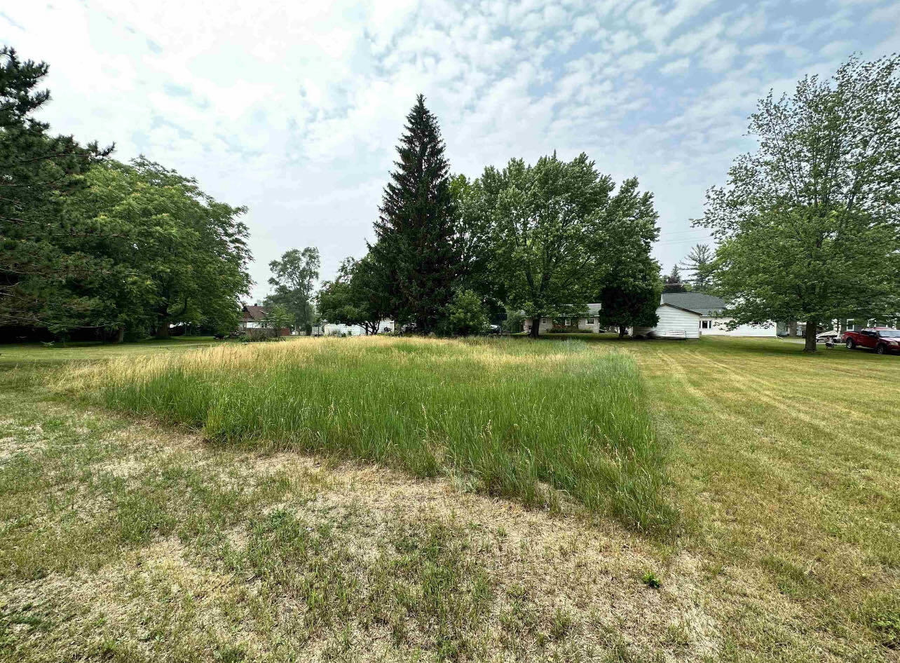 0 Bostwick Street Alma, MI 48801 - Photo 8 of 13 997722c4-e2c0-4270-836d-a5a72456f271