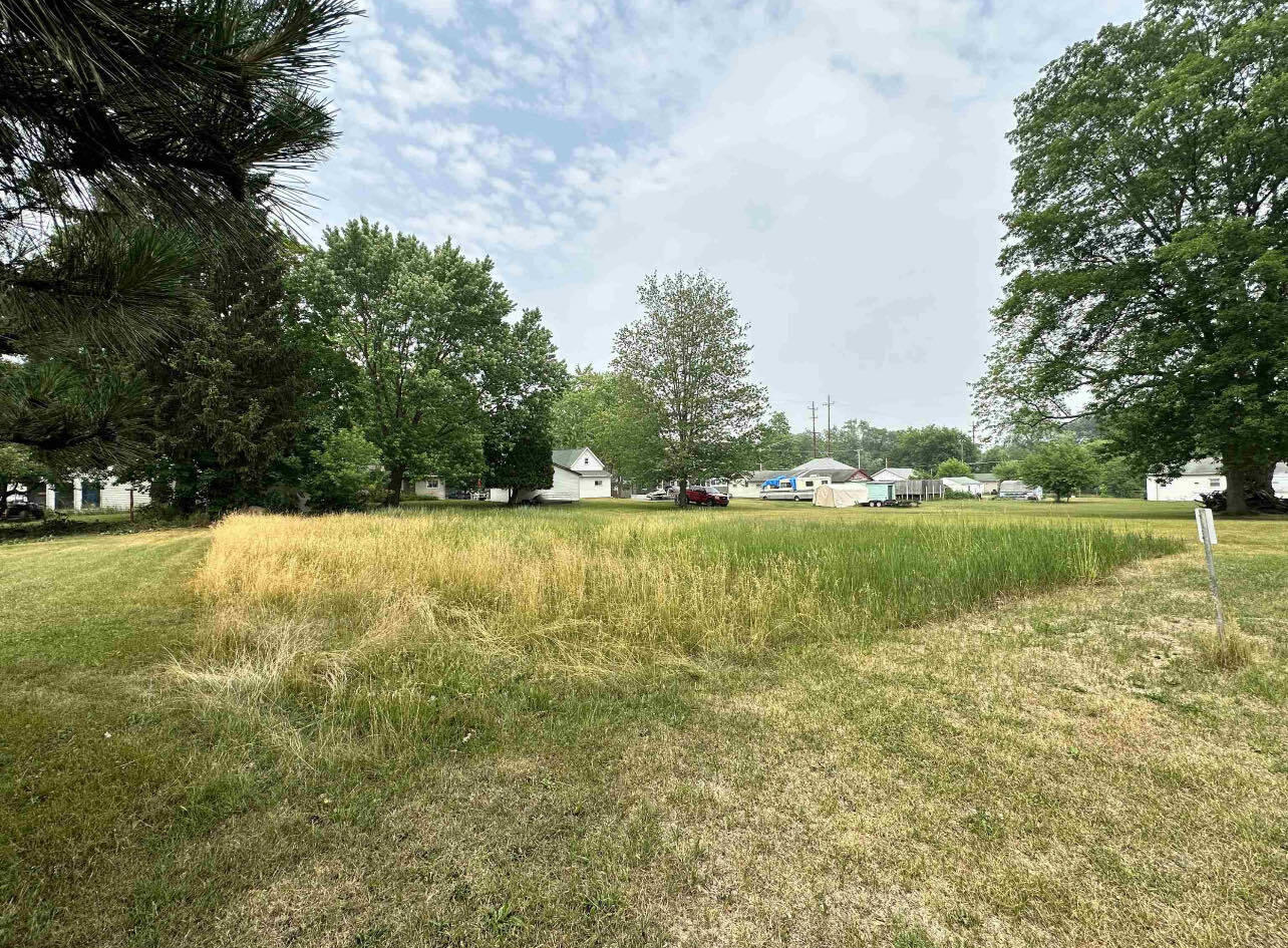 0 Bostwick Street Alma, MI 48801 - Photo 9 of 13 f844ab99-a5cc-48c9-87db-89690a88d6a9