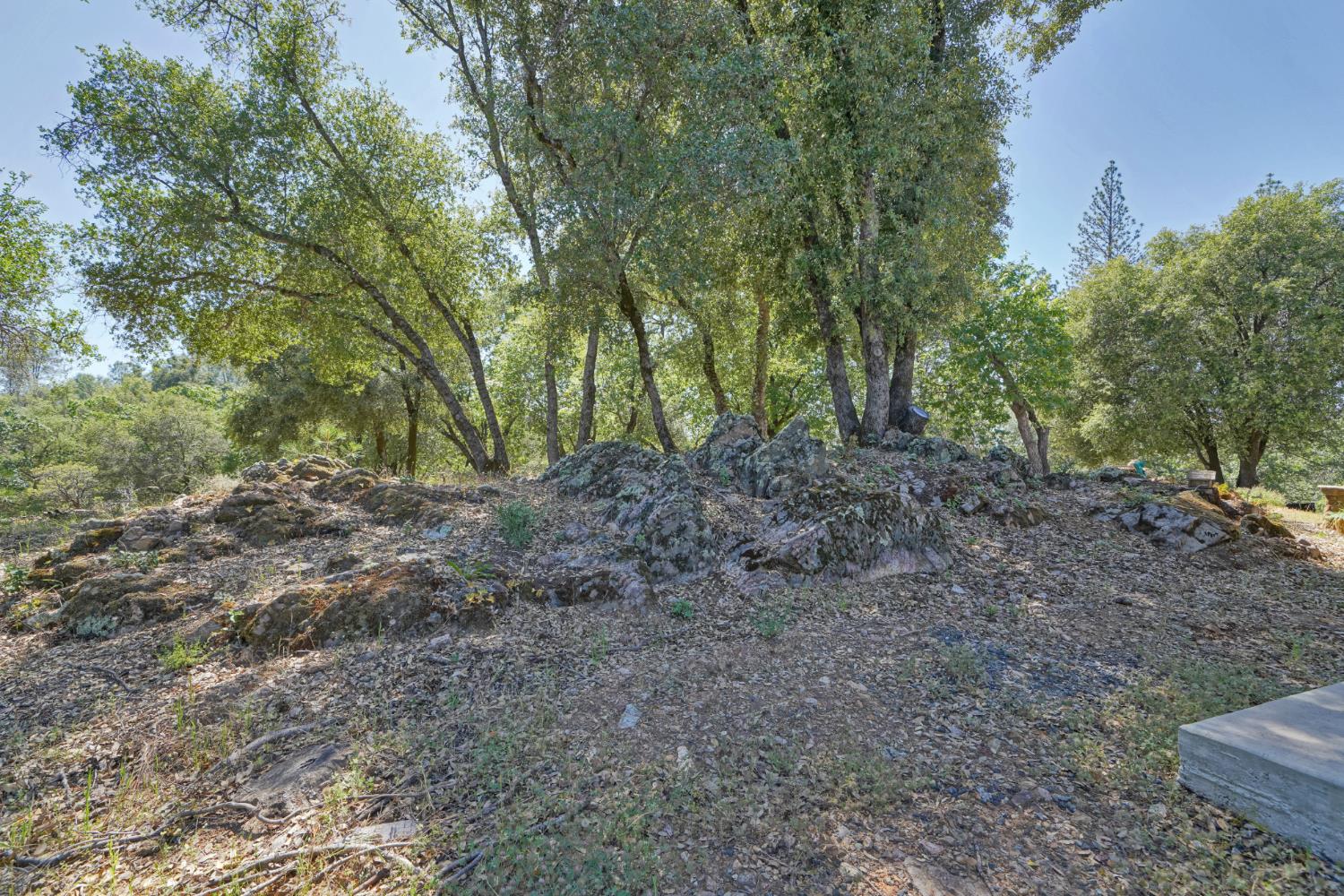 2469 Secret Ravine Trail Cool, CA 95614 - Photo 50 of 80