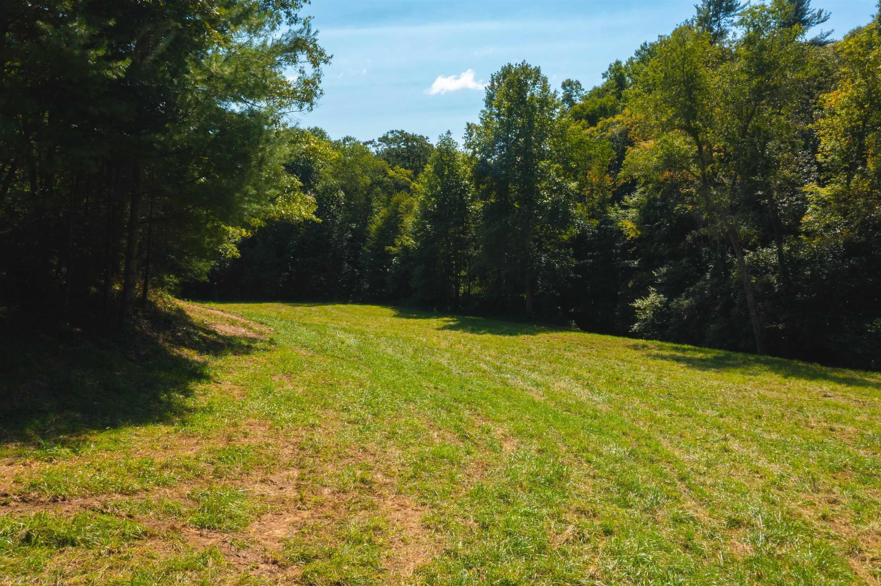 Tbd Beaver Creek Road Northwest Floyd, VA 24091 - Photo 15 of 34 Gallery Image 15