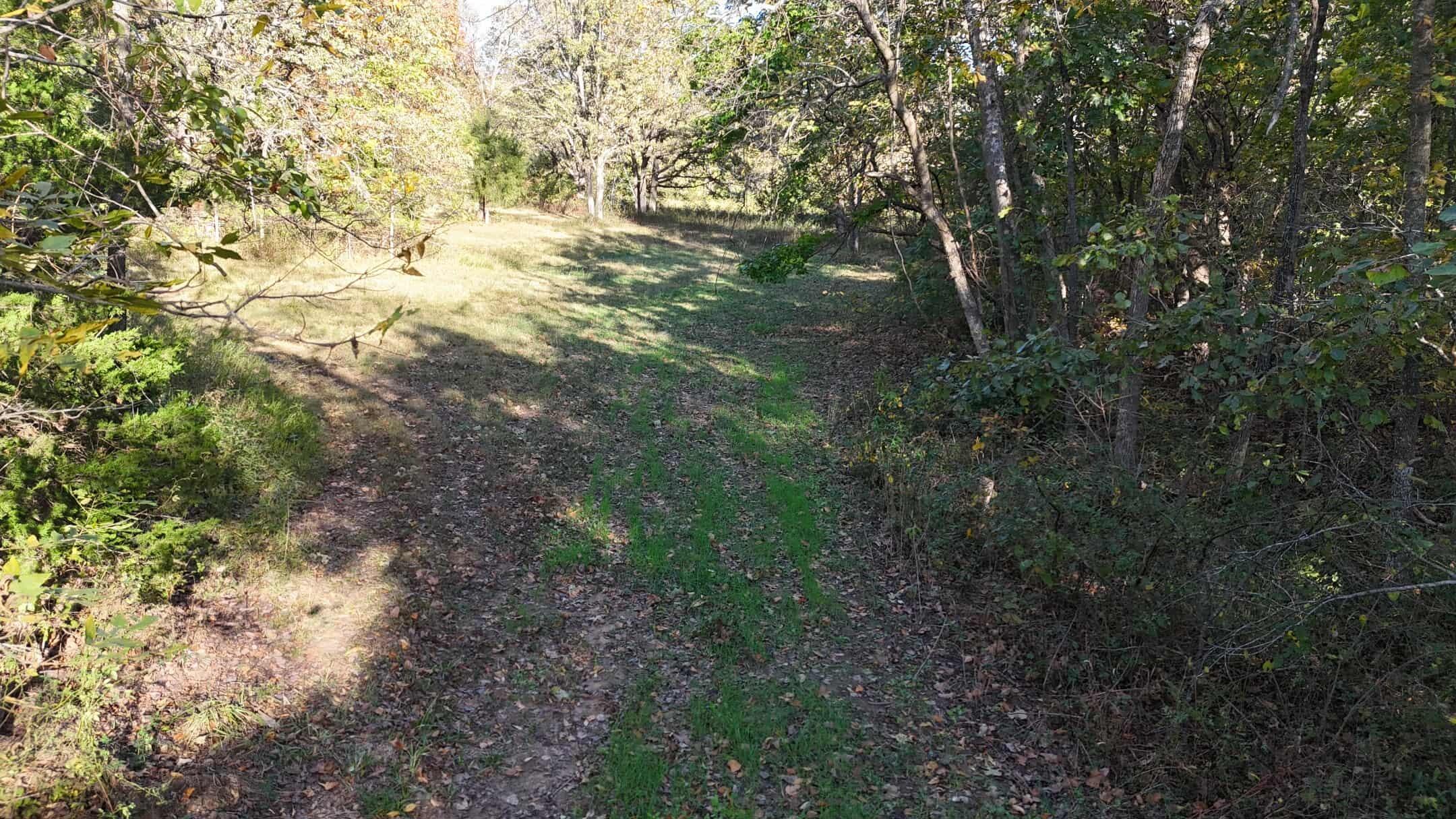 19180 East 920th Road Humansville, MO 65674 - Photo 43 of 61 37c32c8b-2451-4fb7-b66a-90cc5662cb3c