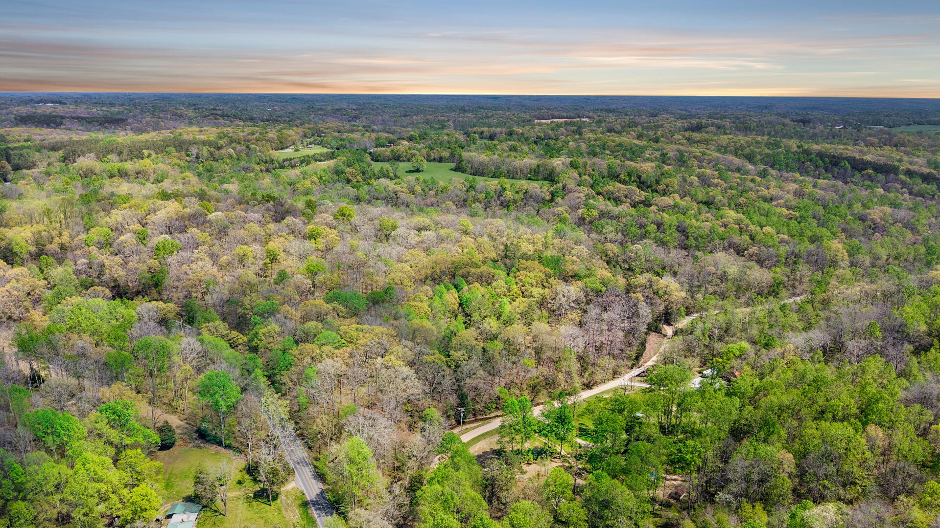 0 Brown Hollow Road Lyles, TN 37098 - Photo 1 of 18