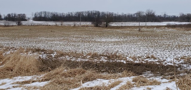 14944 West Hoff Road Manhattan, IL 60442 - Photo 33 of 41