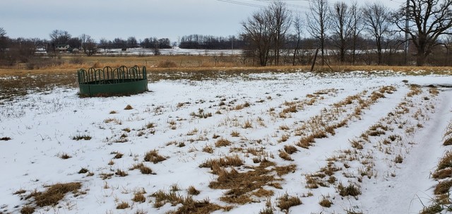 14944 West Hoff Road Manhattan, IL 60442 - Photo 34 of 41