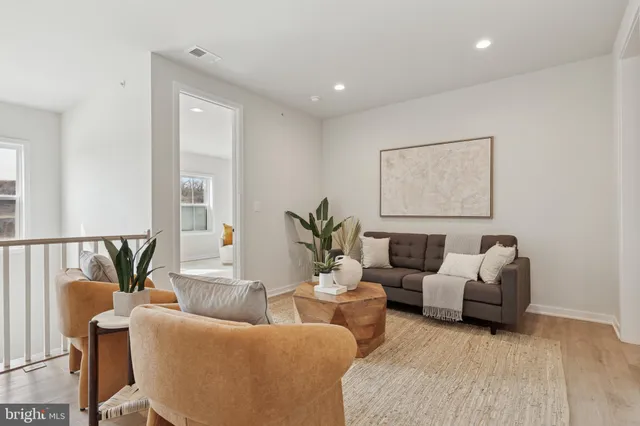 a living room with furniture and a potted plant