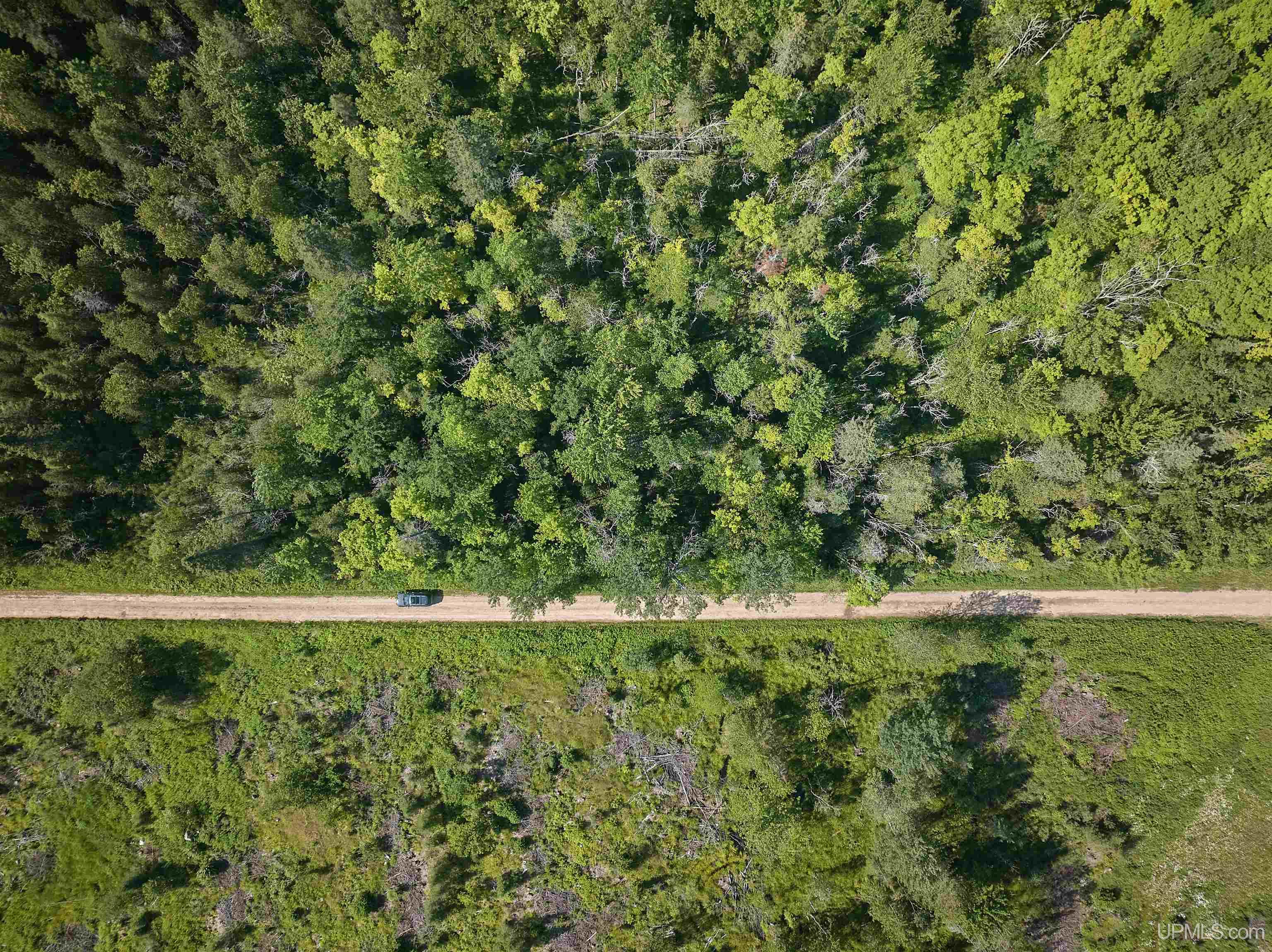 E968 McAfee Road Trenary, MI 49891 - Photo 4 of 19