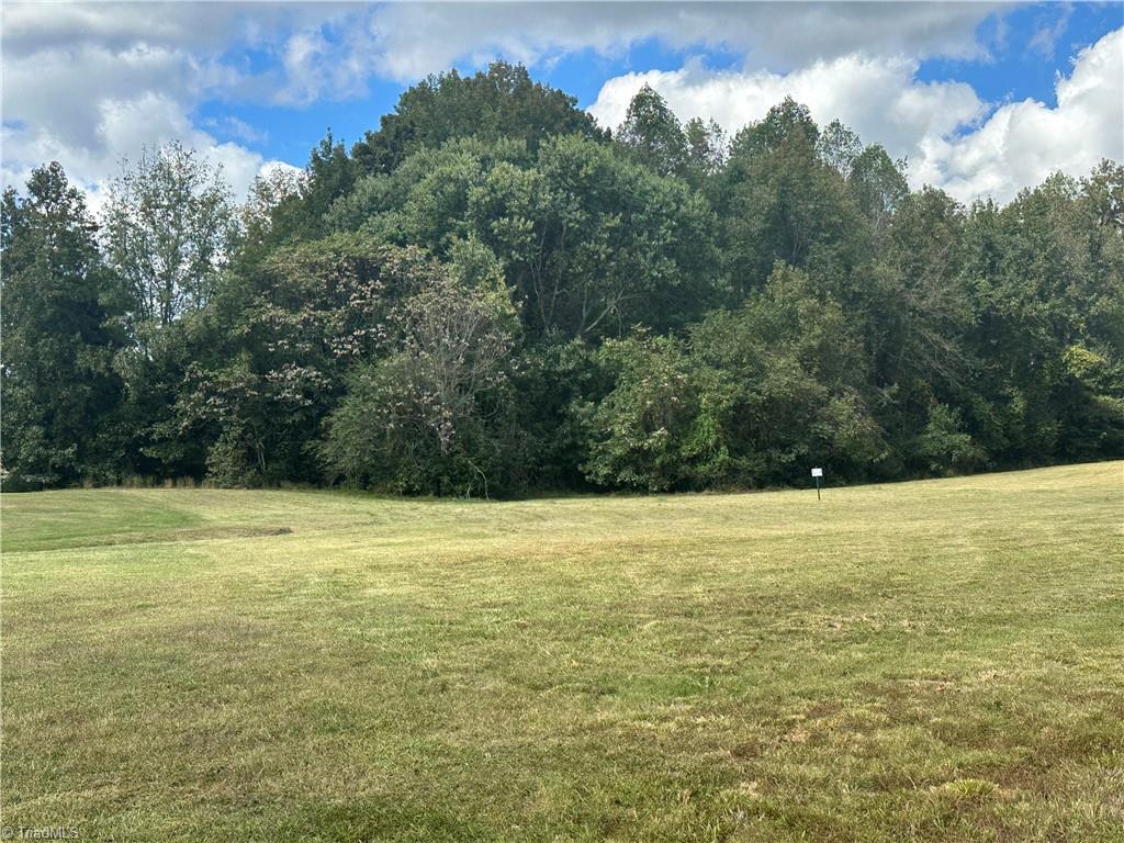 8410 Linville Road Oak Ridge, NC 27310 - Photo 10 of 47