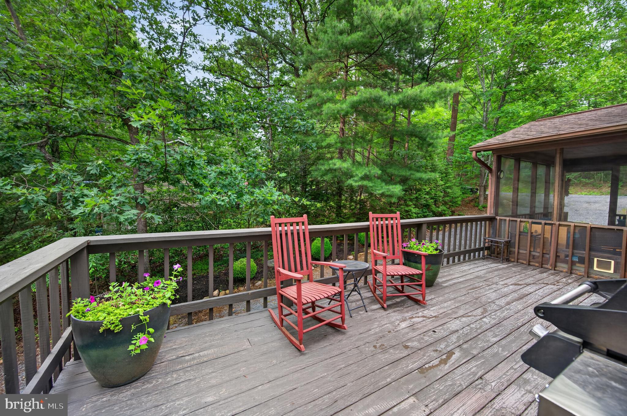 155 Beech Road Mount Jackson, VA 22842 - Photo 14 of 54