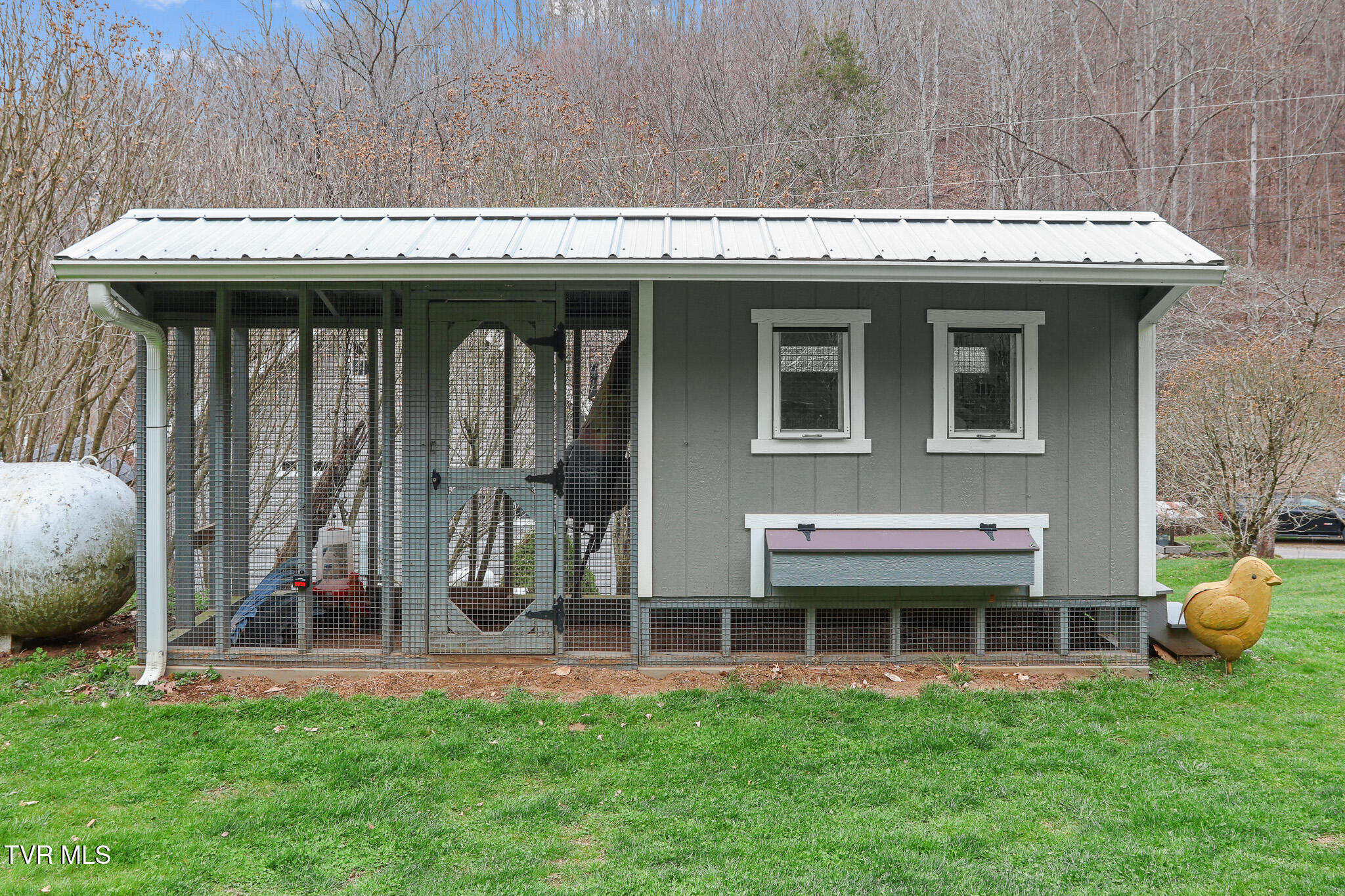 150 Rice Road Flag Pond, TN 37657 - Photo 8 of 87 Chicken Coop-02