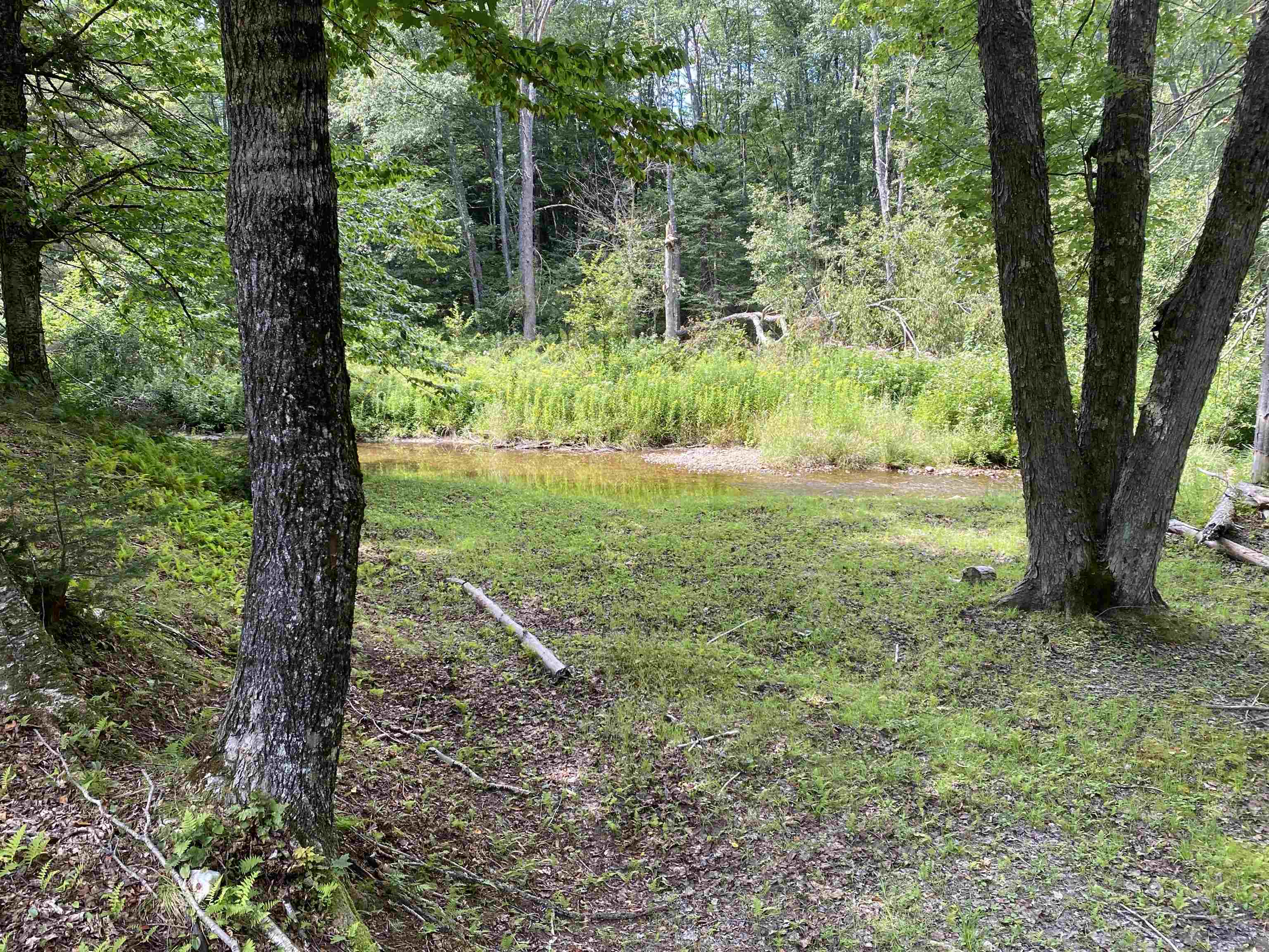 291 Forest Mountain Road Peru, VT 05152 - Photo 6 of 40