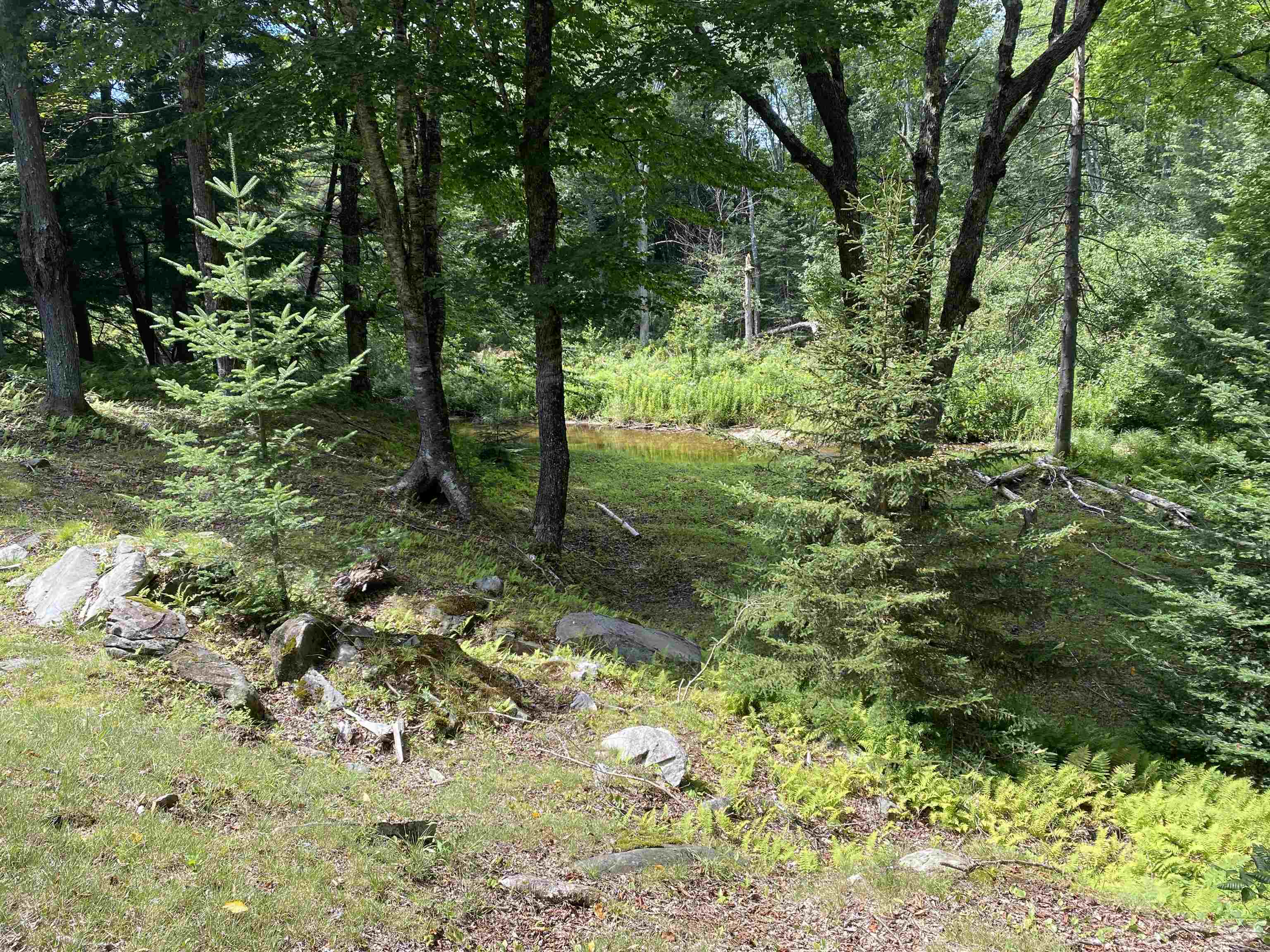 291 Forest Mountain Road Peru, VT 05152 - Photo 8 of 40
