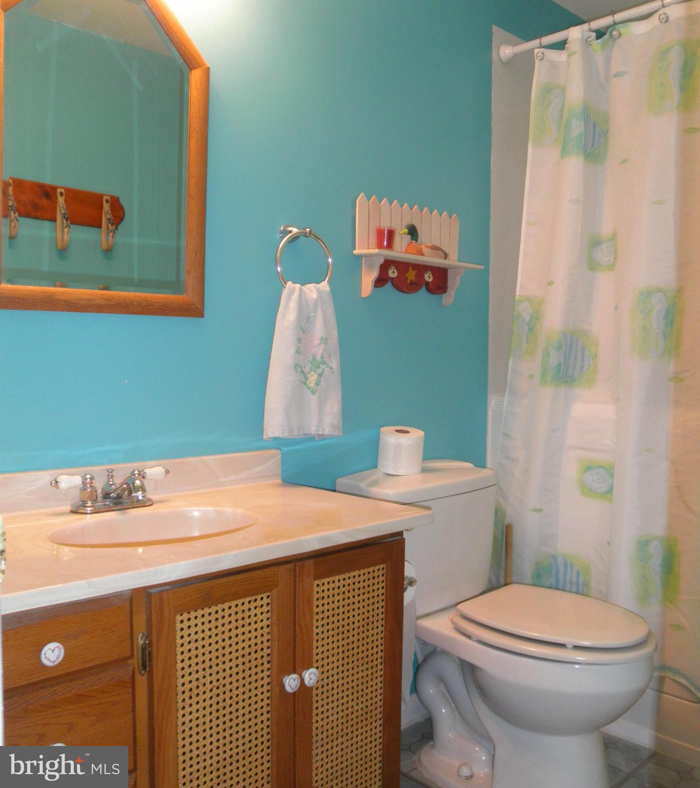 102 Meadow Road Forest Hill, MD 21050 - Photo 13 of 30 Bath (Master)