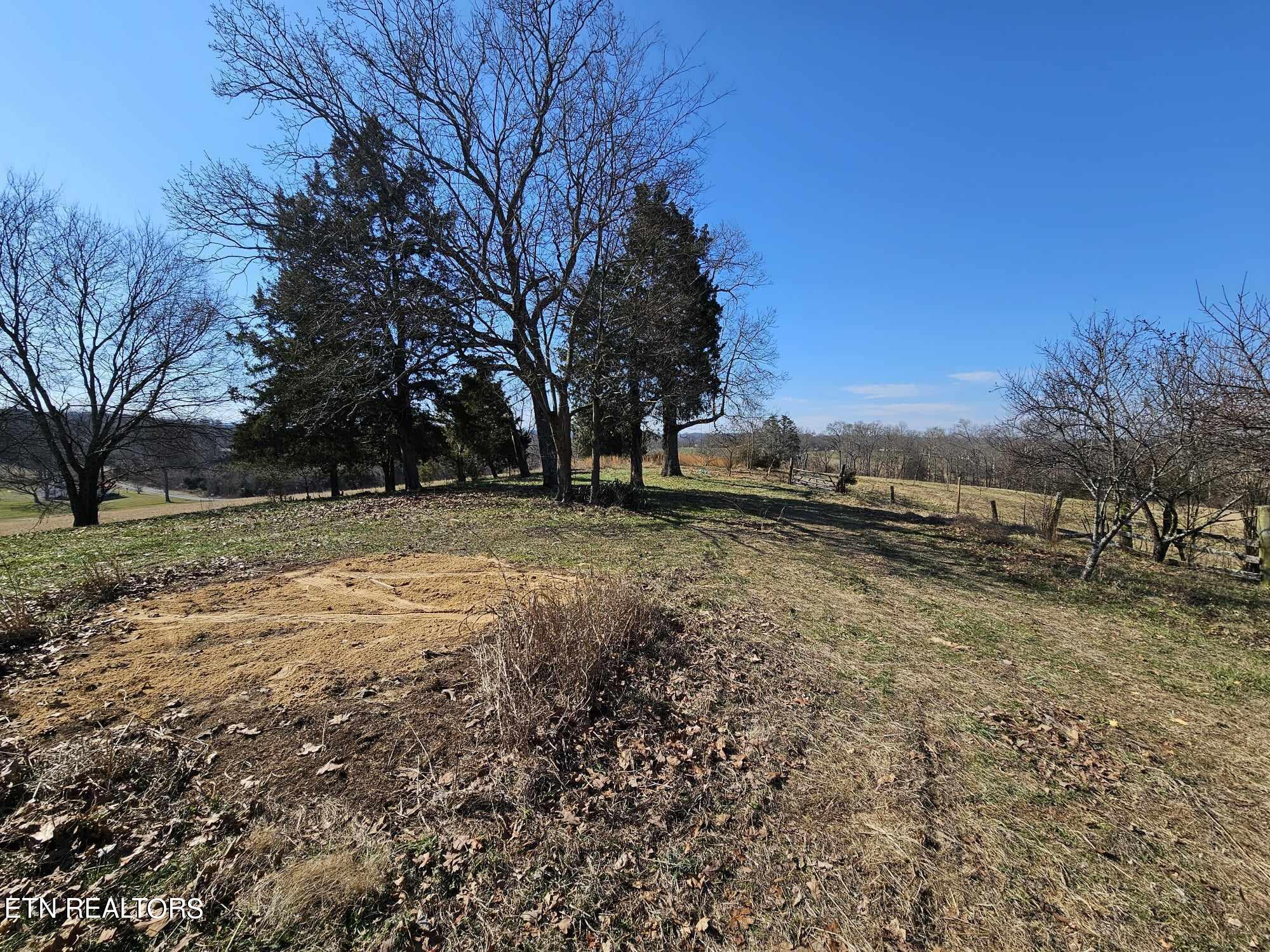 1134 Glades Road Mohawk, TN 37810 - Photo 19 of 19 423619419_1093996118296787_6226286586946