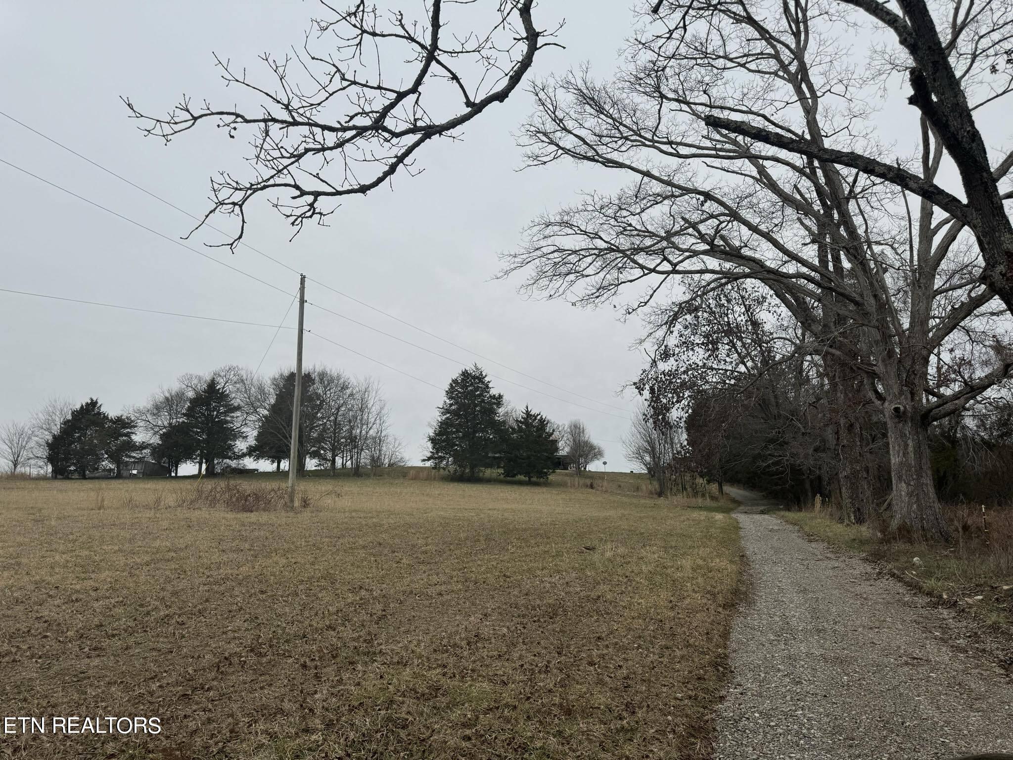 1134 Glades Road Mohawk, TN 37810 - Photo 5 of 19 423036640_369376179321076_73574342321670
