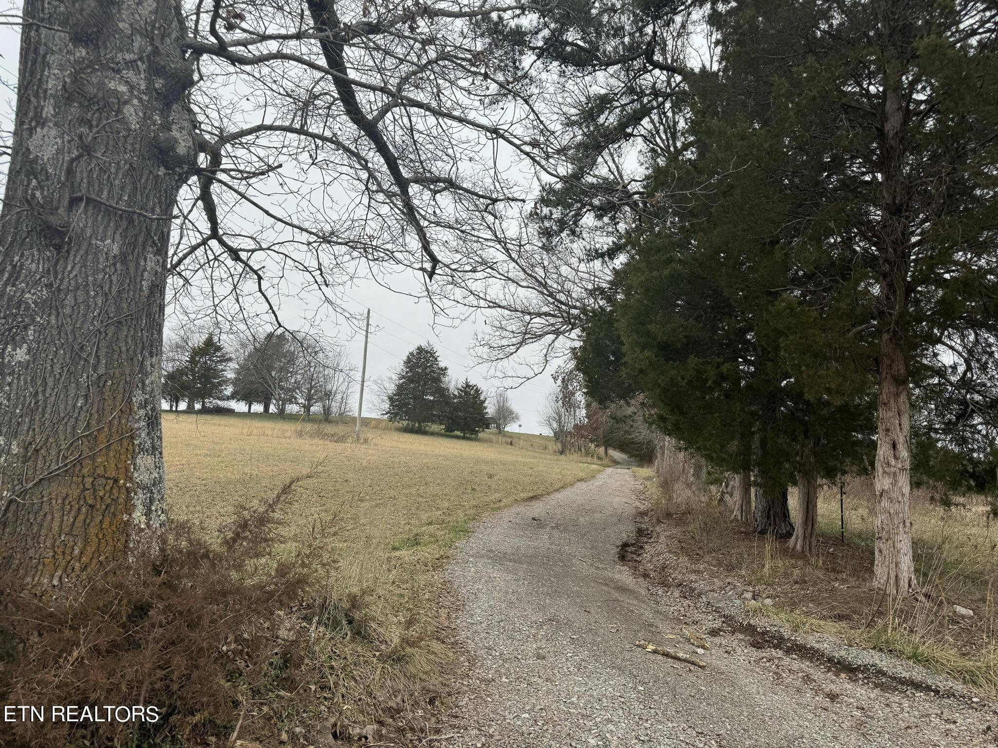 1134 Glades Road Mohawk, TN 37810 - Photo 6 of 19 421695296_1083560906118934_3415126225375