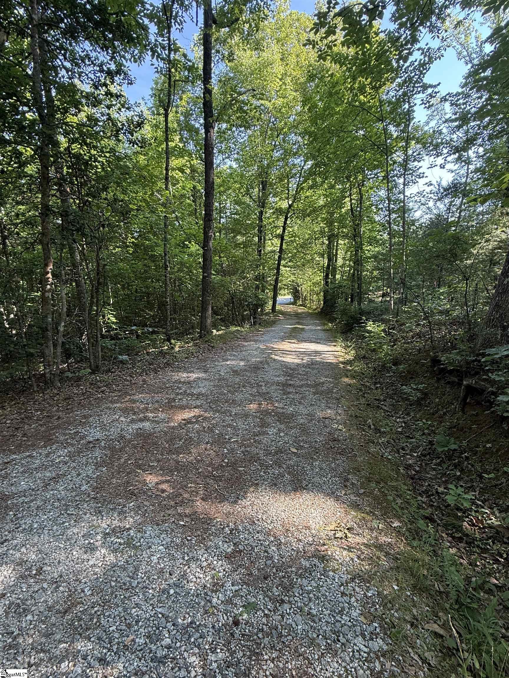 0 Keeler Bridge Road Marietta, SC 29661 - Photo 12 of 12
