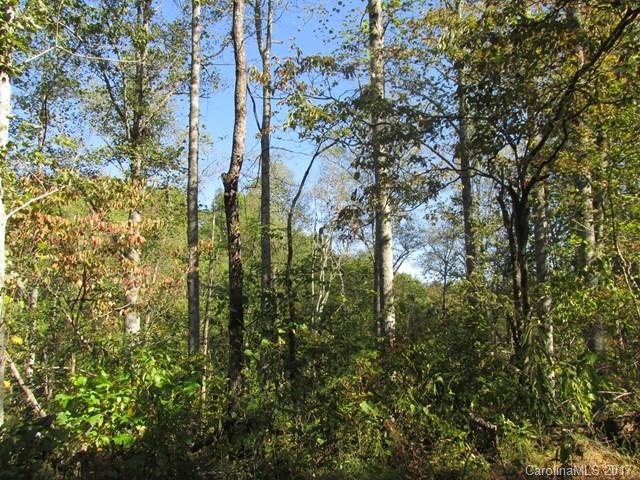 0 Brooks Branch Road Sylva, NC 28779 - Photo 1 of 14 Gallery Image 1