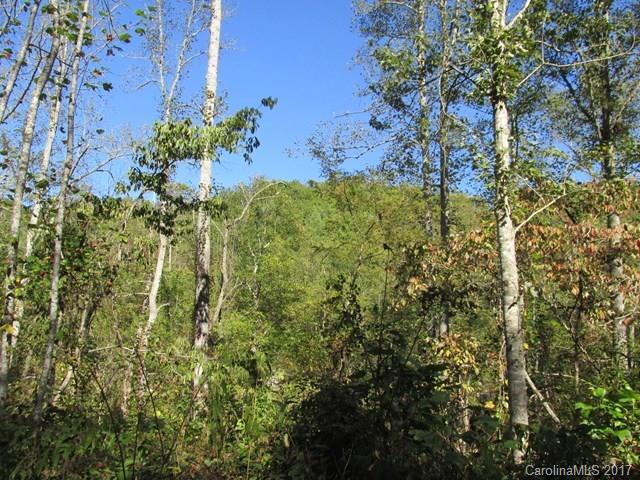 0 Brooks Branch Road Sylva, NC 28779 - Photo 11 of 14 Gallery Image 11