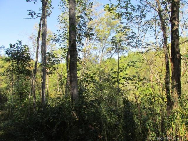 0 Brooks Branch Road Sylva, NC 28779 - Photo 12 of 14 Gallery Image 12