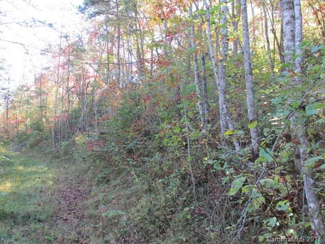 0 Brooks Branch Road Sylva, NC 28779 - Photo 3 of 14 Gallery Image 3