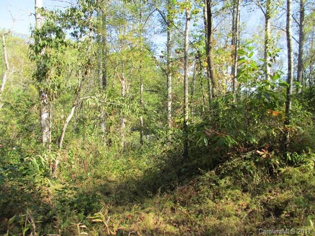 0 Brooks Branch Road Sylva, NC 28779 - Photo 4 of 14 Gallery Image 4