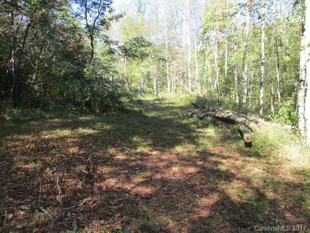 0 Brooks Branch Road Sylva, NC 28779 - Photo 6 of 14 Gallery Image 6