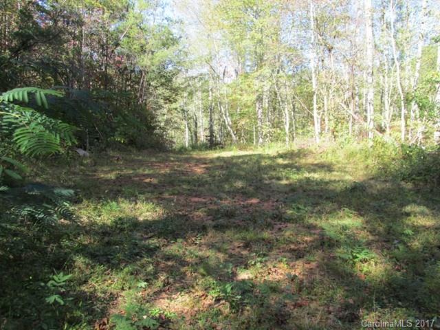 0 Brooks Branch Road Sylva, NC 28779 - Photo 7 of 14 Gallery Image 7