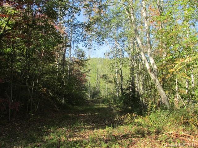 0 Brooks Branch Road Sylva, NC 28779 - Photo 8 of 14 Gallery Image 8