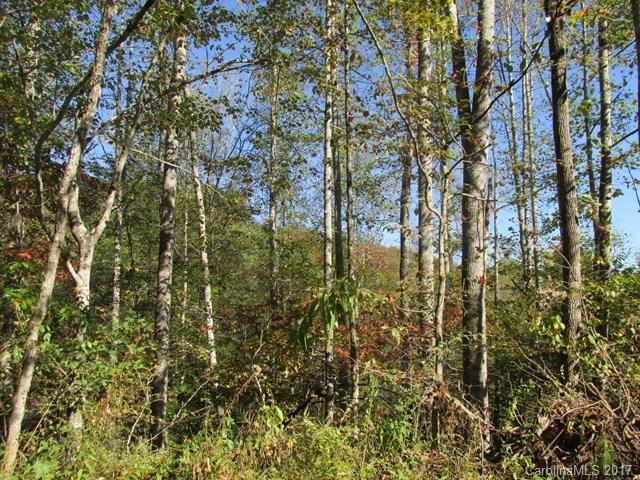 0 Brooks Branch Road Sylva, NC 28779 - Photo 9 of 14 Gallery Image 9