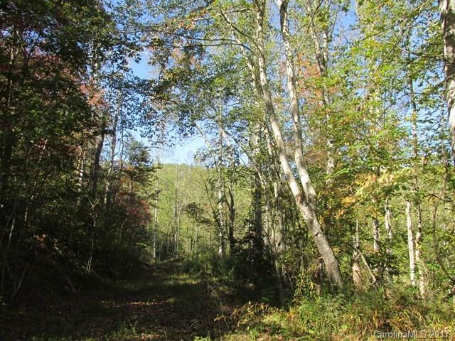 0 Brooks Branch Road Sylva, NC 28779 - Photo 10 of 14 Gallery Image 10
