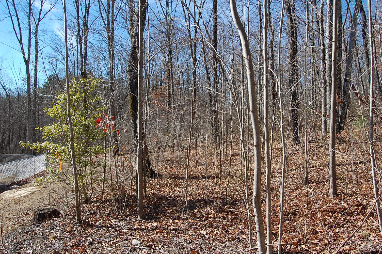 722 Deerhead Road Dunlap, TN 37327 - Photo 12 of 37 DSC_0012