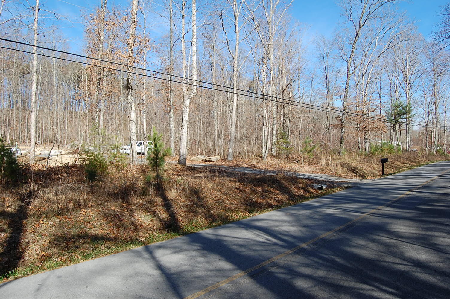 722 Deerhead Road Dunlap, TN 37327 - Photo 4 of 37 DSC_0004