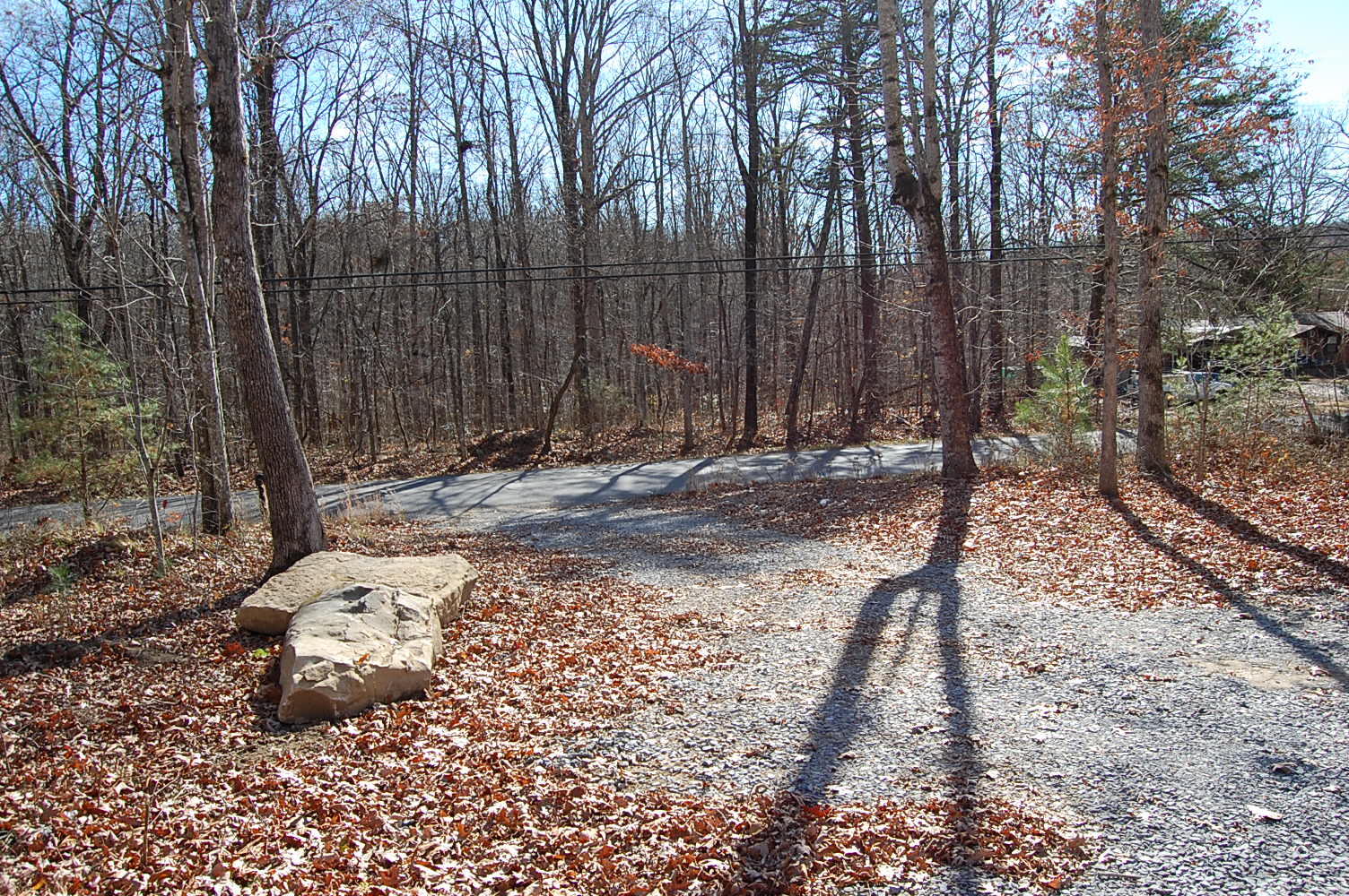 722 Deerhead Road Dunlap, TN 37327 - Photo 5 of 37 DSC_0005