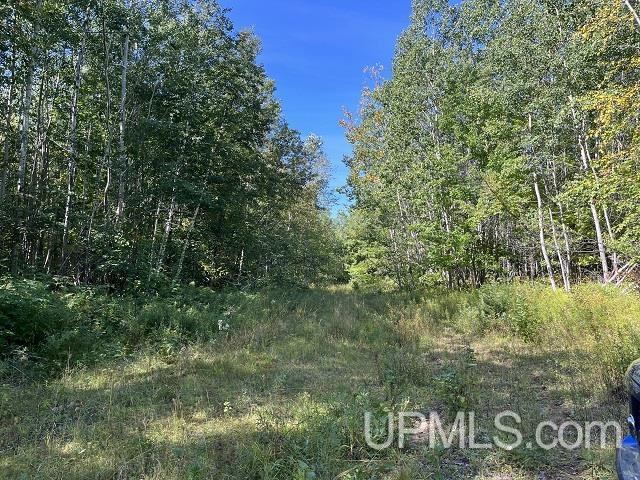 120-acres 120-acres Off Stack Grade Road Marquette, MI 49855 - Photo 1 of 1