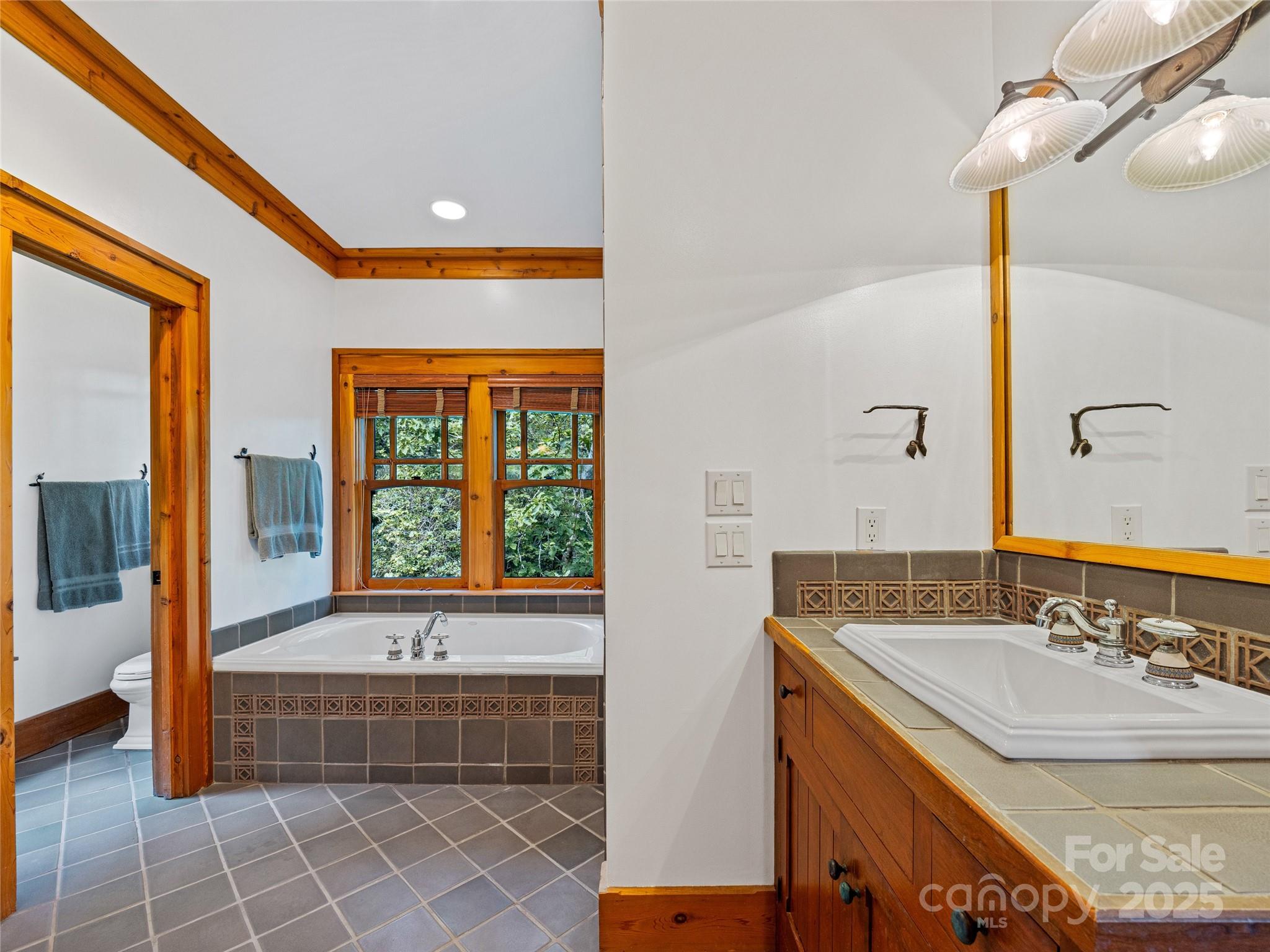770 Mdw Rdg Drive Lake Toxaway, NC 28747 - Photo 20 of 48 a bathroom with a tub a sink and a mirror