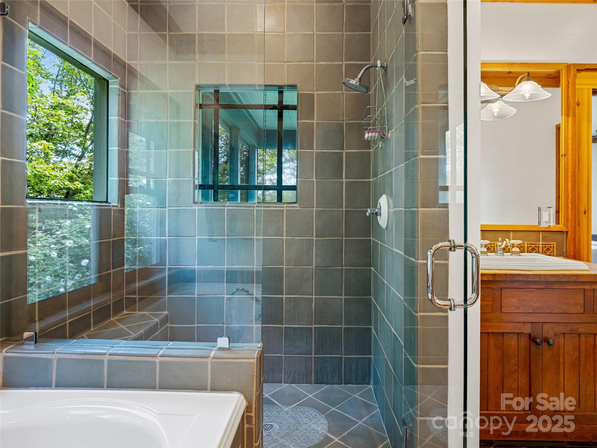 770 Mdw Rdg Drive Lake Toxaway, NC 28747 - Photo 22 of 48 a bathroom with a shower