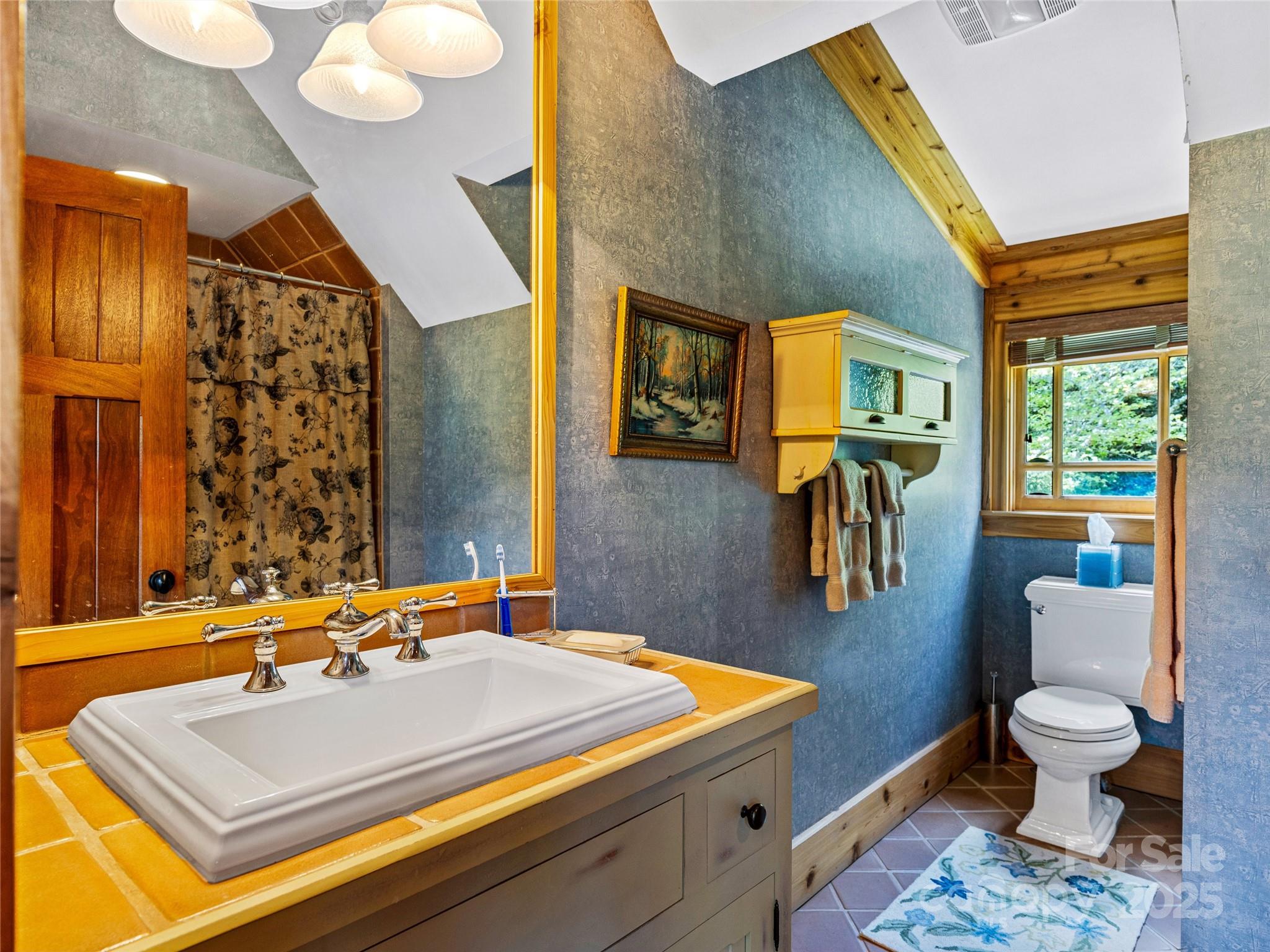 770 Mdw Rdg Drive Lake Toxaway, NC 28747 - Photo 25 of 48 a bathroom with a sink a toilet and a mirror